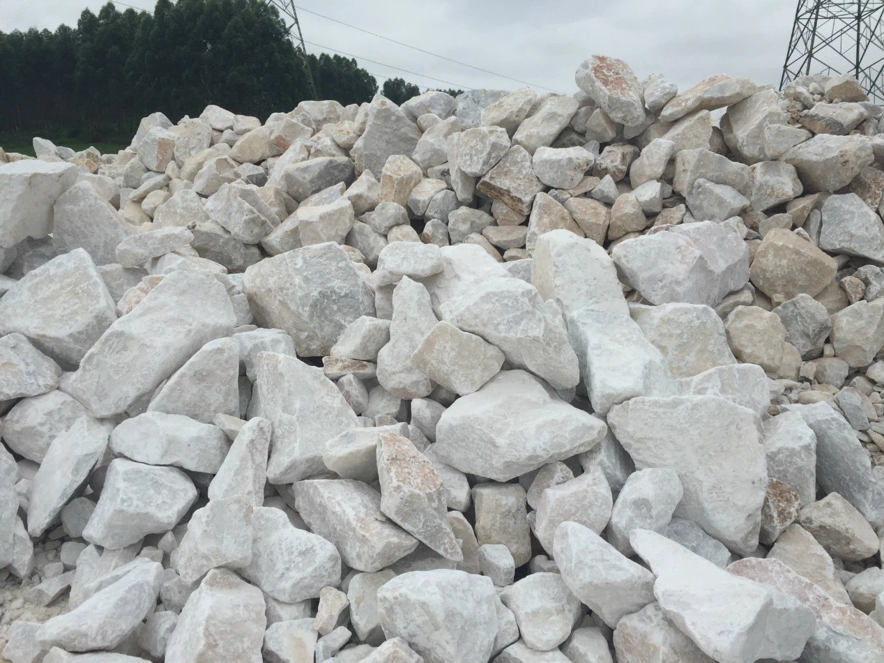 piedra de calcio
