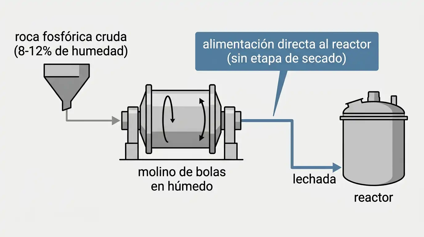 Flujo de proceso mostrando roca fosfórica cruda molida en húmedo y alimentada directamente a un reactor de ácido fosfórico sin etapa de secado