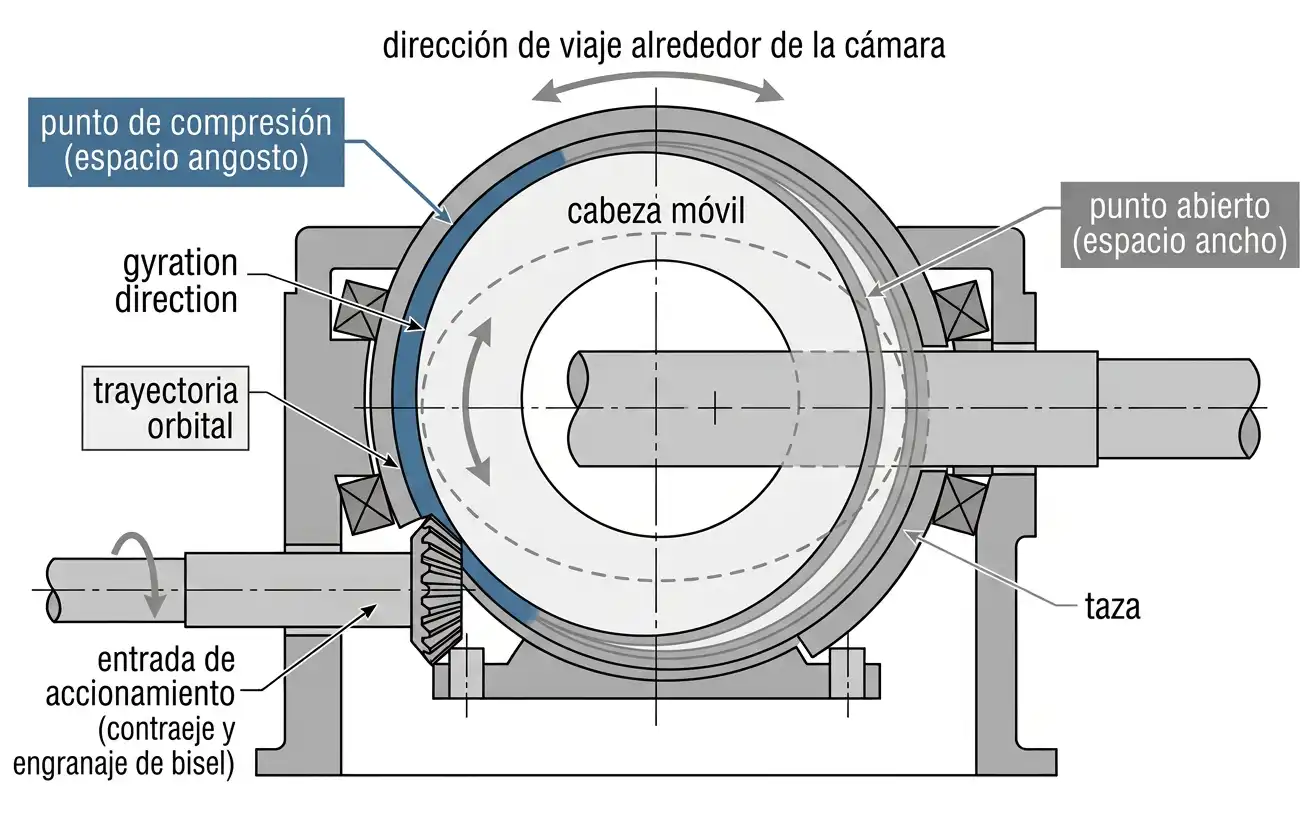Punto de compresión de la cabeza móvil de trituradora cónica viajando alrededor de la circunferencia de la cámara