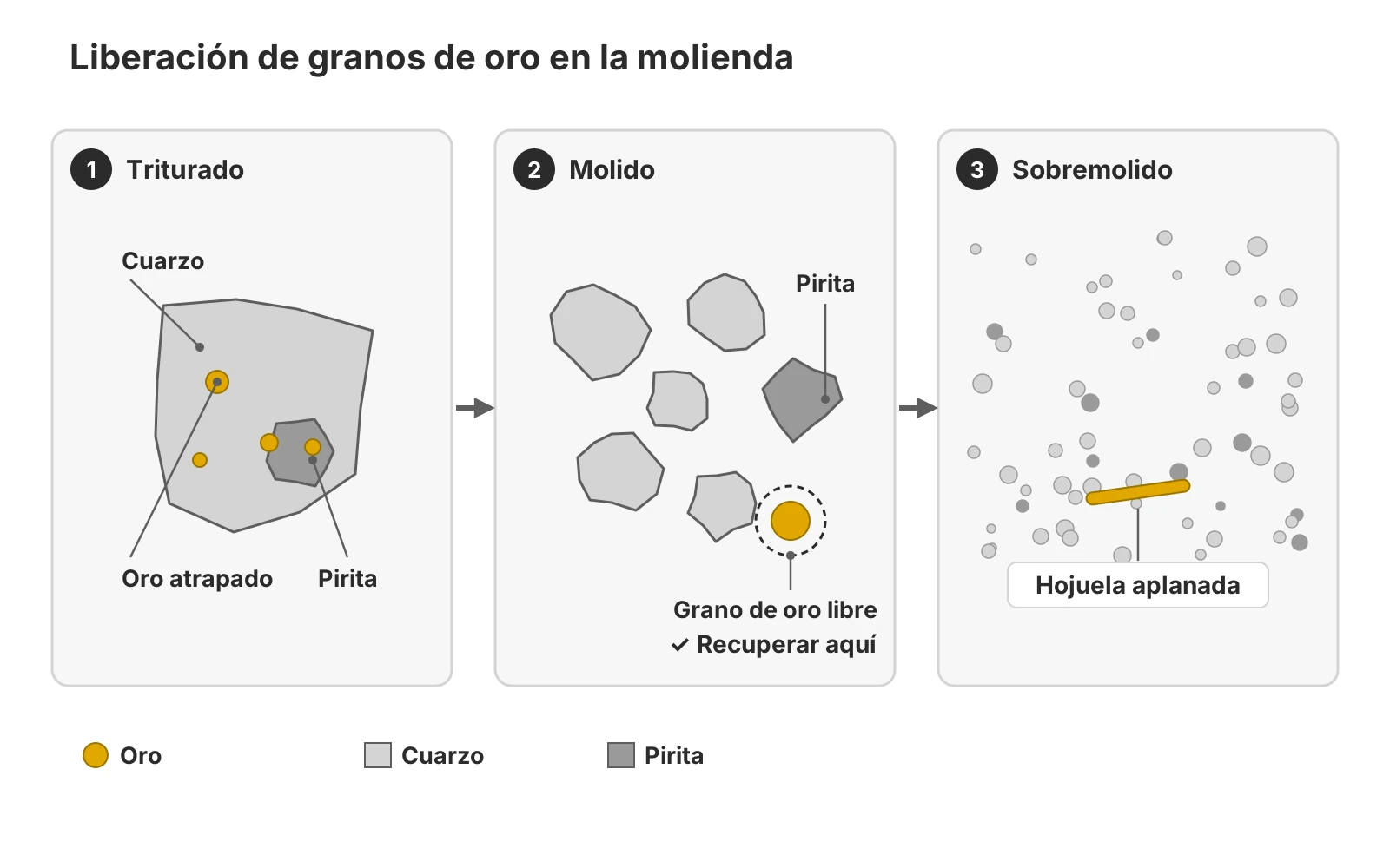 Liberación de granos de oro en la molienda