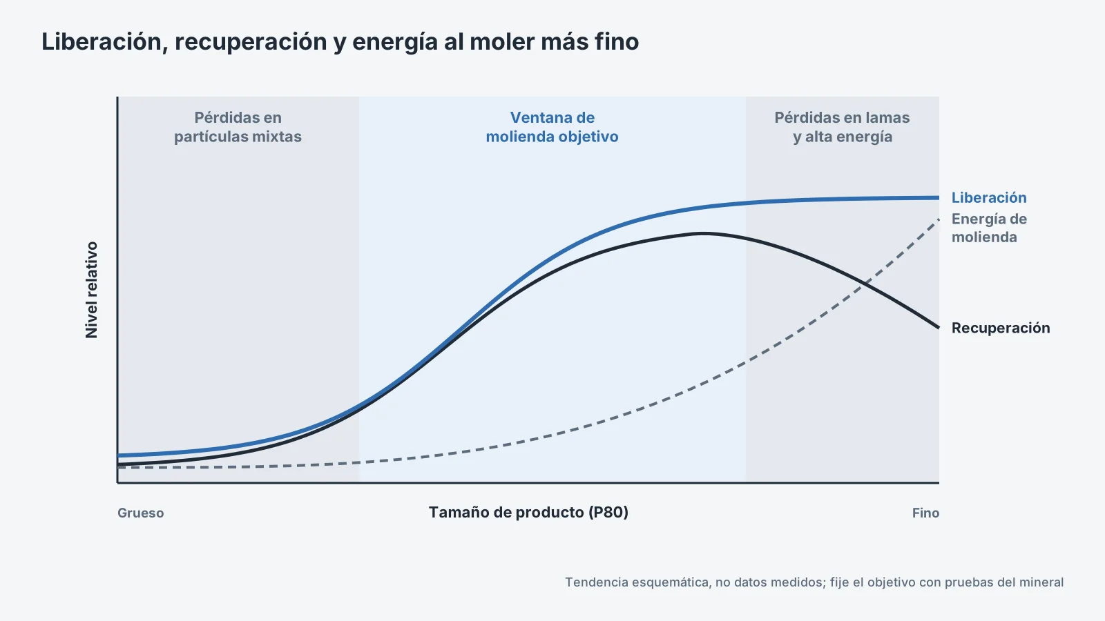 Liberación y recuperación según la molienda
