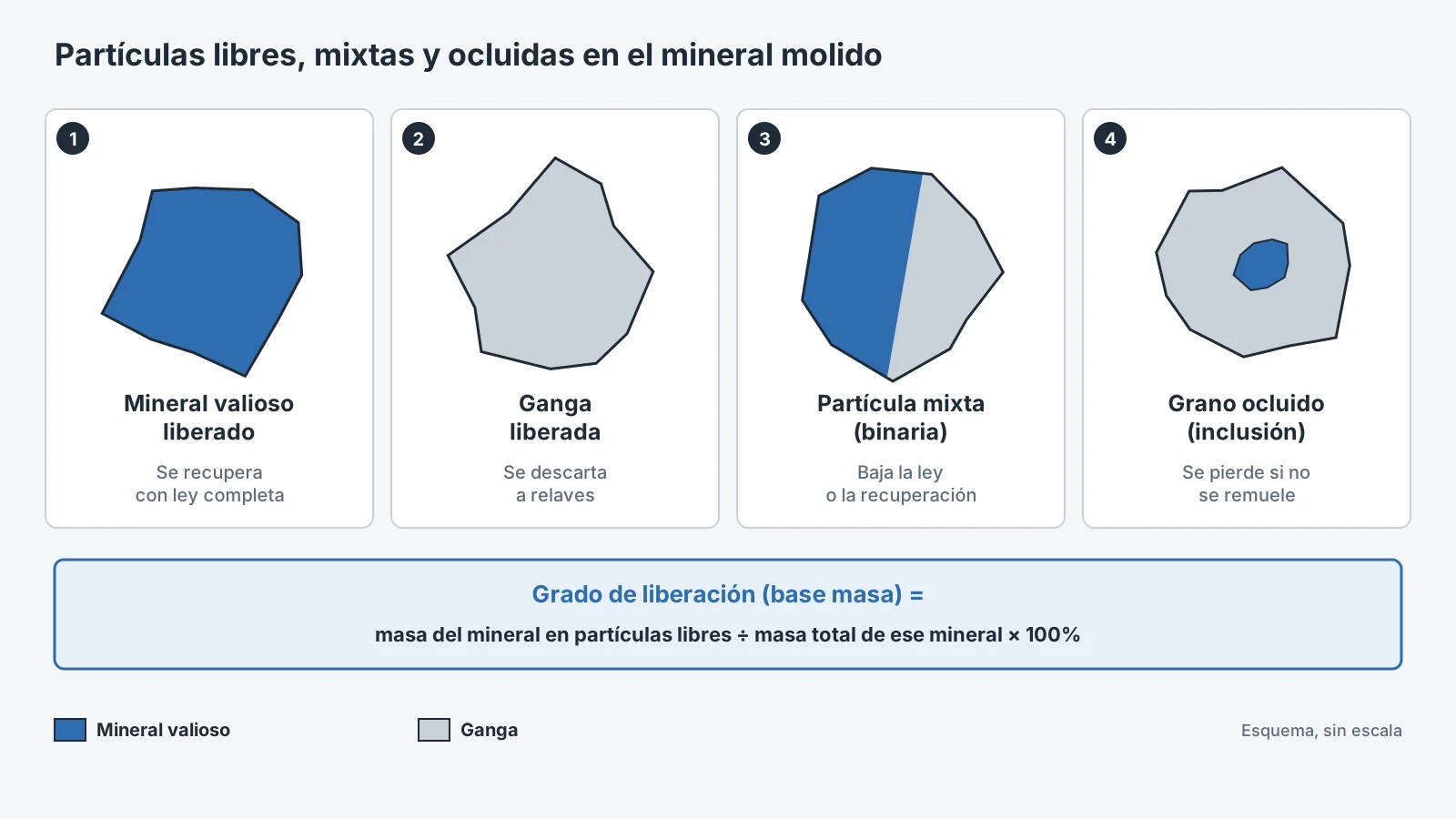 Partículas libres, mixtas y ocluidas